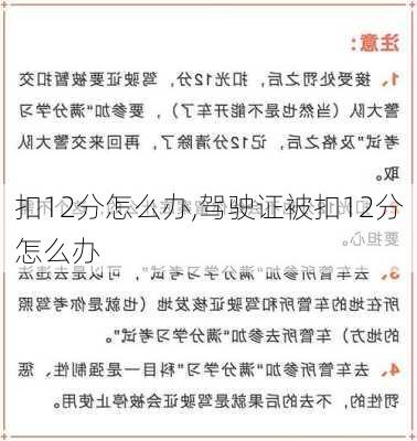 扣12分怎么办,驾驶证被扣12分怎么办