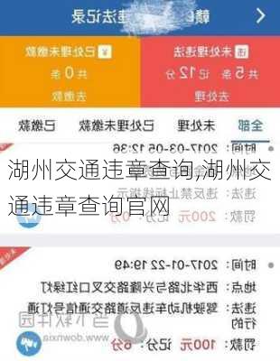 湖州交通违章查询,湖州交通违章查询官网