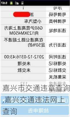 嘉兴市交通违章查询,嘉兴交通违法网上查询