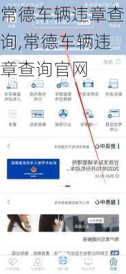 常德车辆违章查询,常德车辆违章查询官网