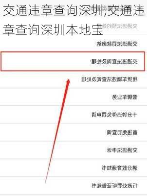 交通违章查询深圳,交通违章查询深圳本地宝