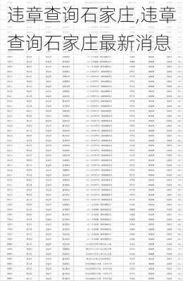 违章查询石家庄,违章查询石家庄最新消息