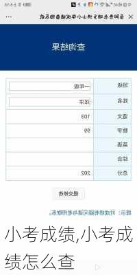 小考成绩,小考成绩怎么查
