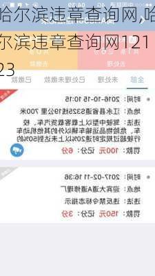 哈尔滨违章查询网,哈尔滨违章查询网12123