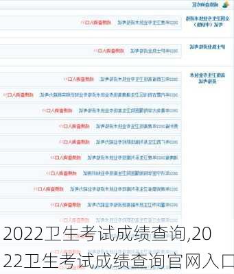 2022卫生考试成绩查询,2022卫生考试成绩查询官网入口