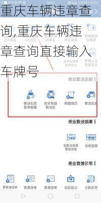 重庆车辆违章查询,重庆车辆违章查询直接输入车牌号