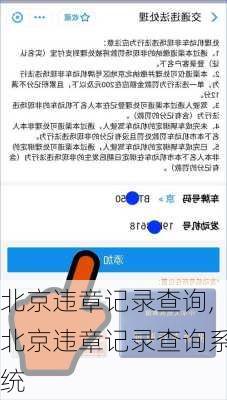 北京违章记录查询,北京违章记录查询系统