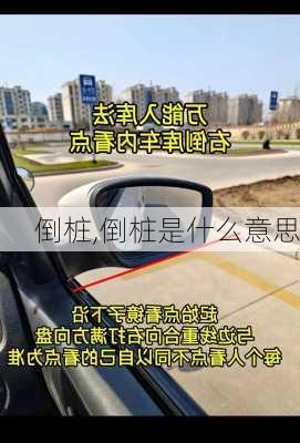 倒桩,倒桩是什么意思