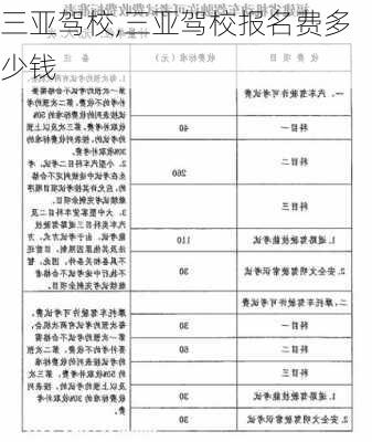 三亚驾校,三亚驾校报名费多少钱