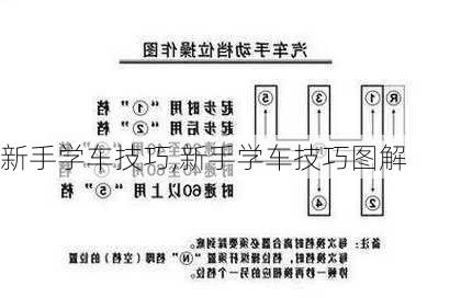 新手学车技巧,新手学车技巧图解