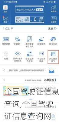 全国驾驶证信息查询,全国驾驶证信息查询网