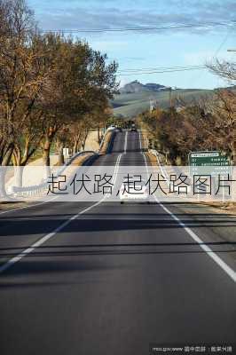 起伏路,起伏路图片