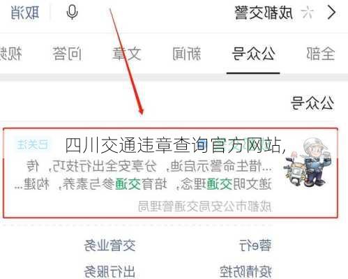 四川交通违章查询官方网站,