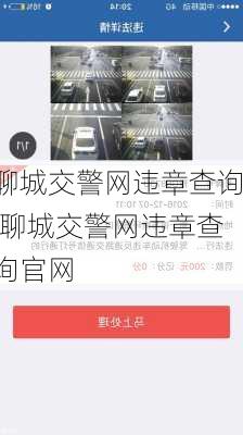 聊城交警网违章查询,聊城交警网违章查询官网