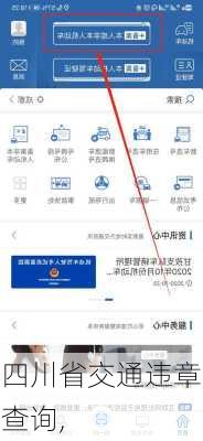 四川省交通违章查询,
