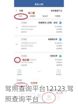 驾照查询平台12123,驾照查询平台