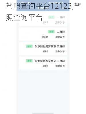 驾照查询平台12123,驾照查询平台