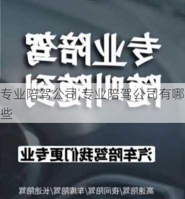 专业陪驾公司,专业陪驾公司有哪些