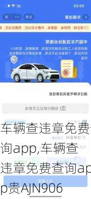 车辆查违章免费查询app,车辆查违章免费查询app贵AJN906