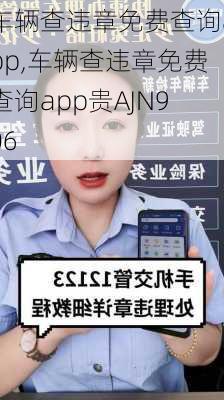 车辆查违章免费查询app,车辆查违章免费查询app贵AJN906