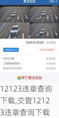 12123违章查询下载,交管12123违章查询下载