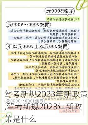 驾考新规2023年新政策,驾考新规2023年新政策是什么