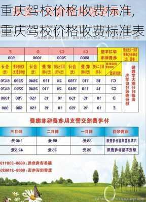 重庆驾校价格收费标准,重庆驾校价格收费标准表